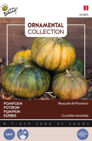 Gourd Musquee de Provence (Cucurbita moschata) 9 seeds